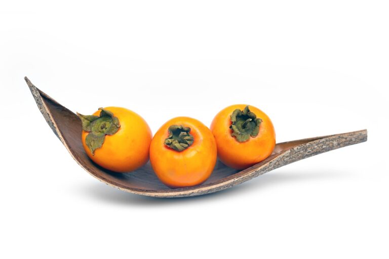 The Evolution of Food Packaging Materials: Innovations for a Sustainable Future