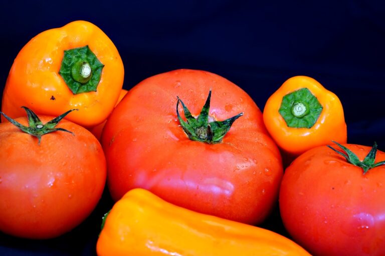 The Surprising Health Benefits of Traditional Ayurvedic Cuisine