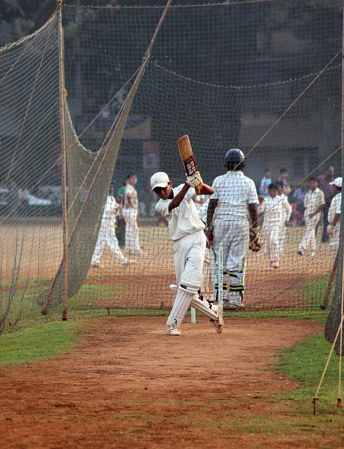 Cricket and Its Economic Contributions to Regional Development